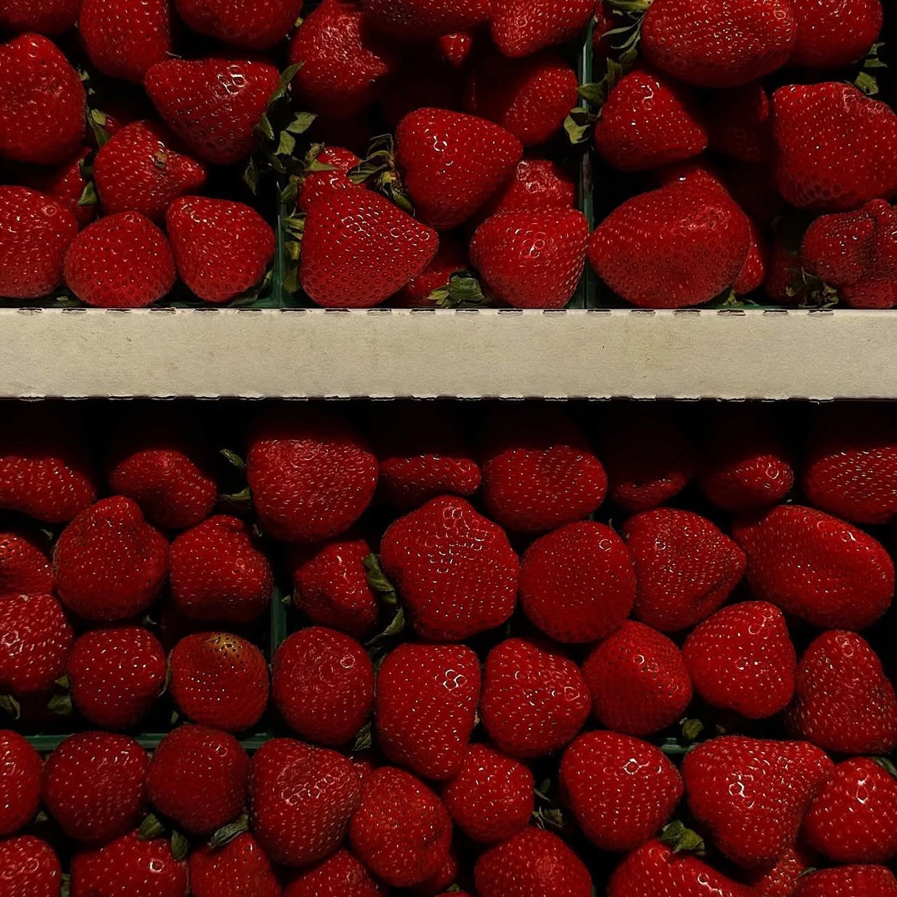 Berry Much in Love with Strawberry